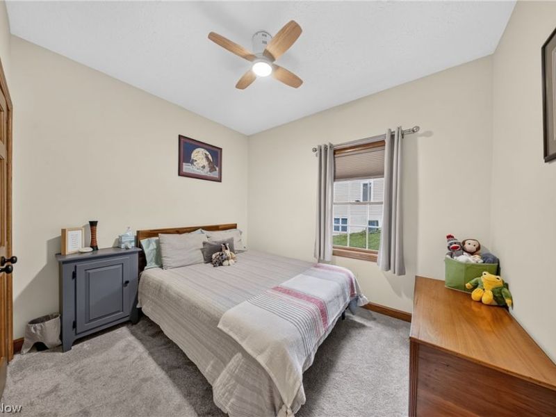 485 Vineyard Way, Doylestown, OH 44230 Photo 17