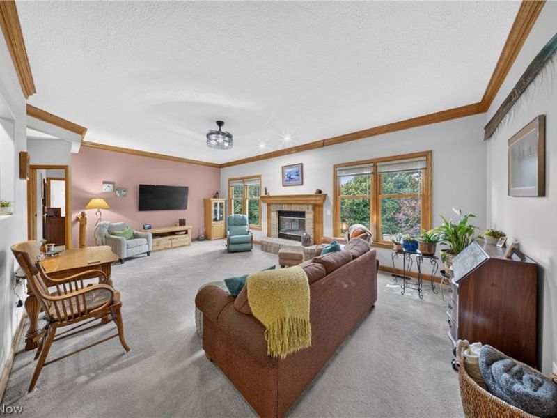 485 Vineyard Way, Doylestown, OH 44230 Photo 20