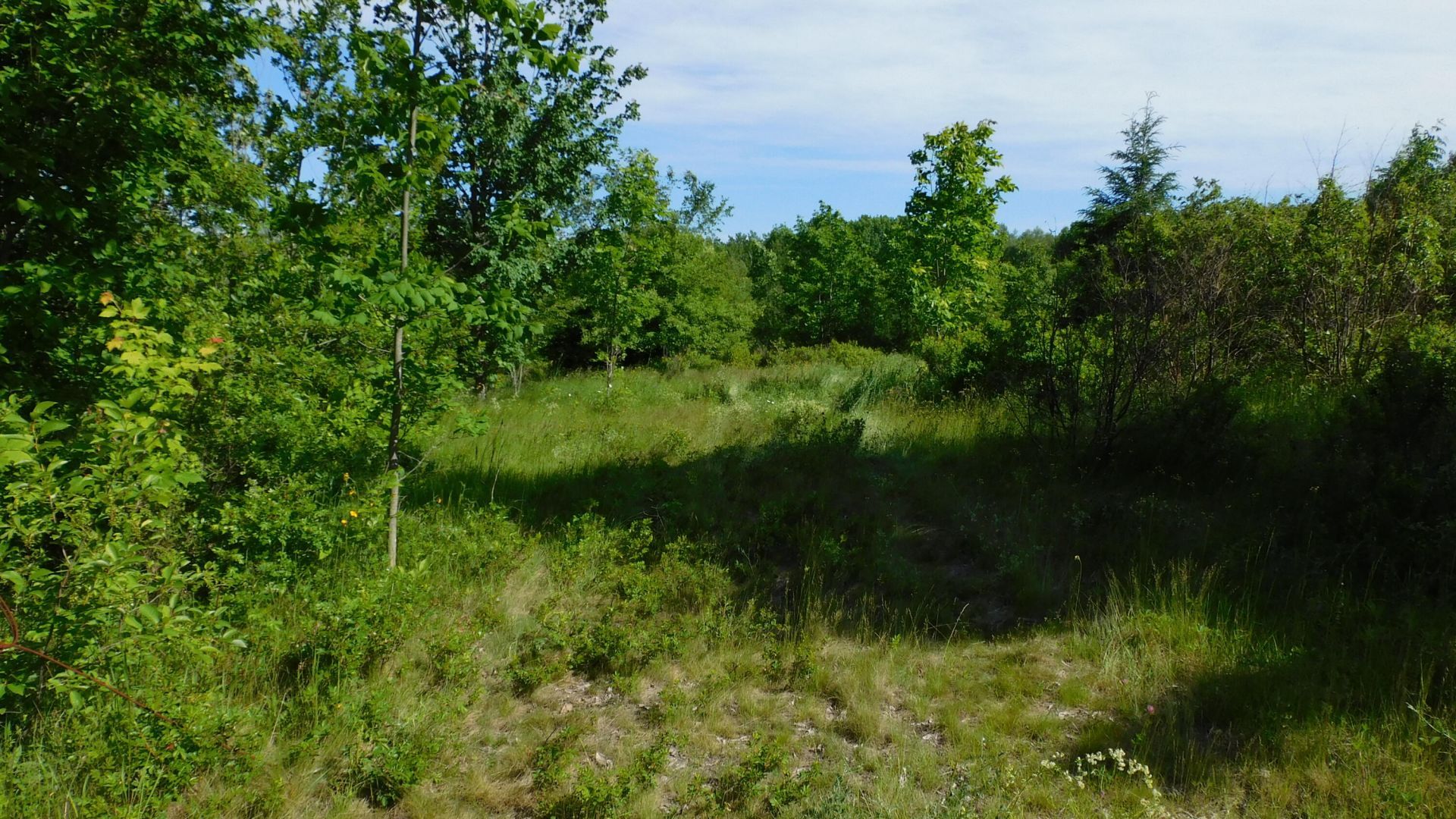 267 Ridge Road, Robbinston, ME 04671 Main Photo