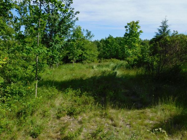 267 Ridge Road, Robbinston, ME 04671