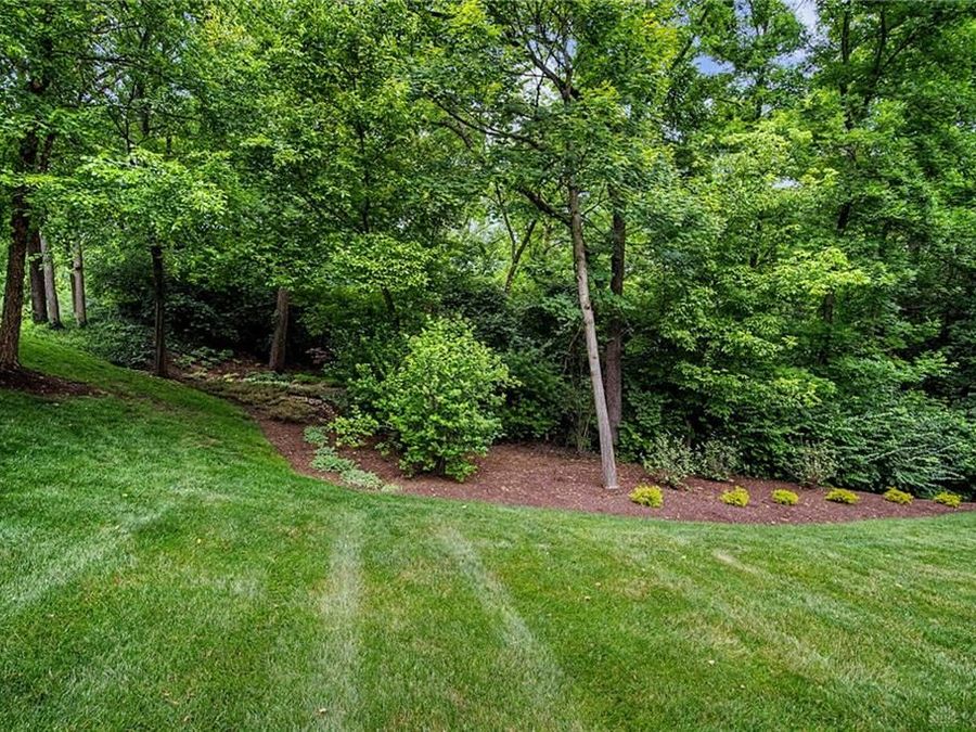 Property Image 54