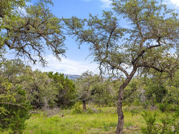 31860 Mirela Ann RD, Dripping Springs, TX 78620