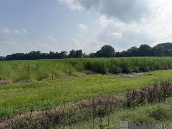 7625 False River Rd, Oscar, LA 70762
