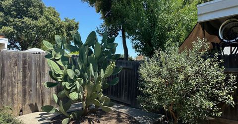 34 Chief Ct, Sacramento, CA 95833 Photo