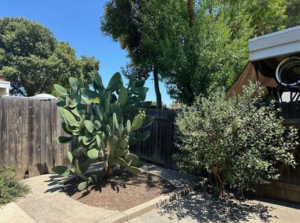 34 Chief Ct, Sacramento, CA 95833 Photo