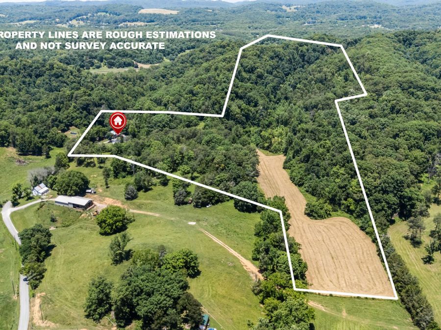 Property Image 9