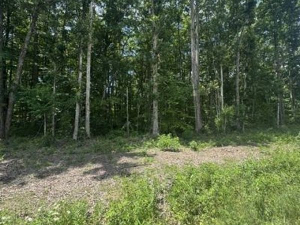 0 East Fork Ln , Crawford, TN 38554
