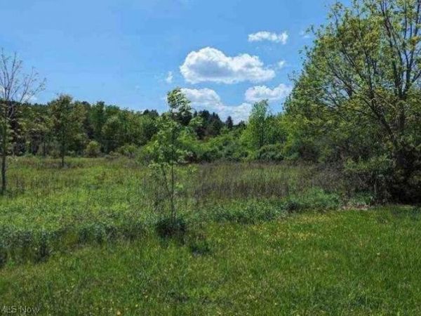 0 Ridgewood Road , Medina, OH 44281