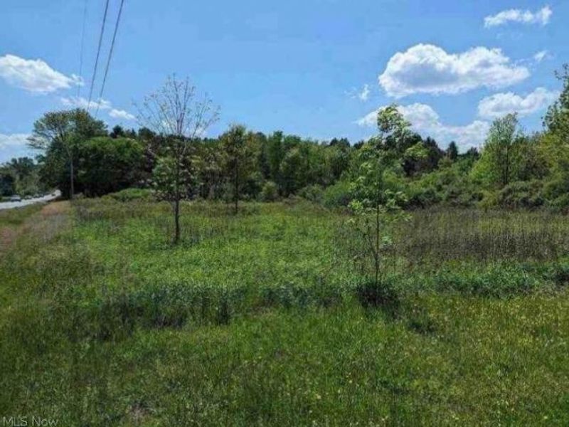 0 Ridgewood Road , Medina, OH 44281 Photo 3