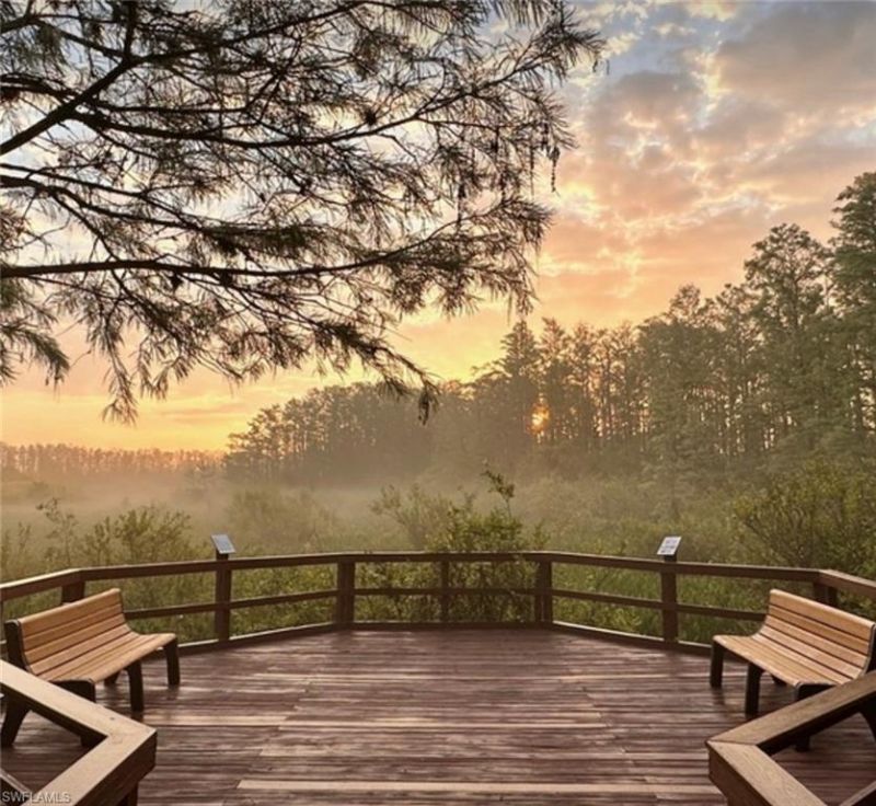 10105 Colonial Country Club Blvd, Unit 2504, Fort Myers, FL 33913 Photo