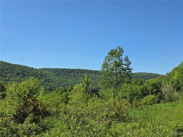 NYS Route 446, Cuba, NY 14727