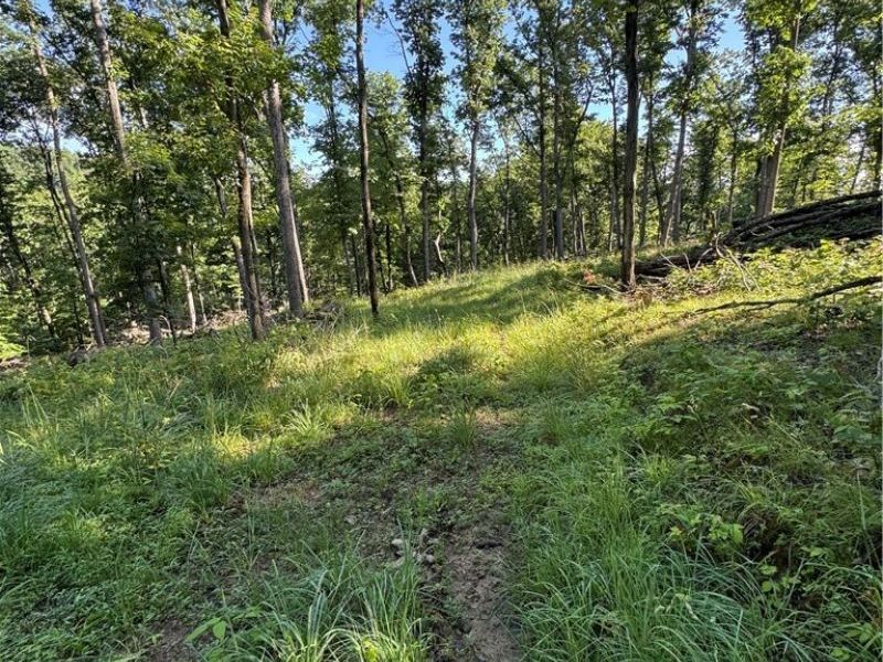 Stone Quarry Road, Danville, OH 43014 Photo 10