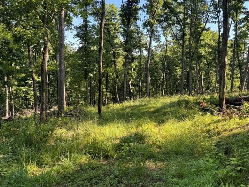 Stone Quarry Road, Danville, OH 43014 Photo 11