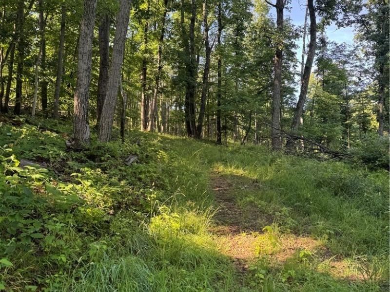 Stone Quarry Road, Danville, OH 43014 Photo 12