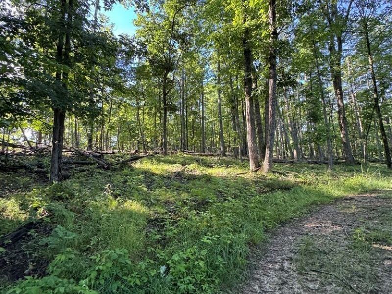 Stone Quarry Road, Danville, OH 43014 Photo 13