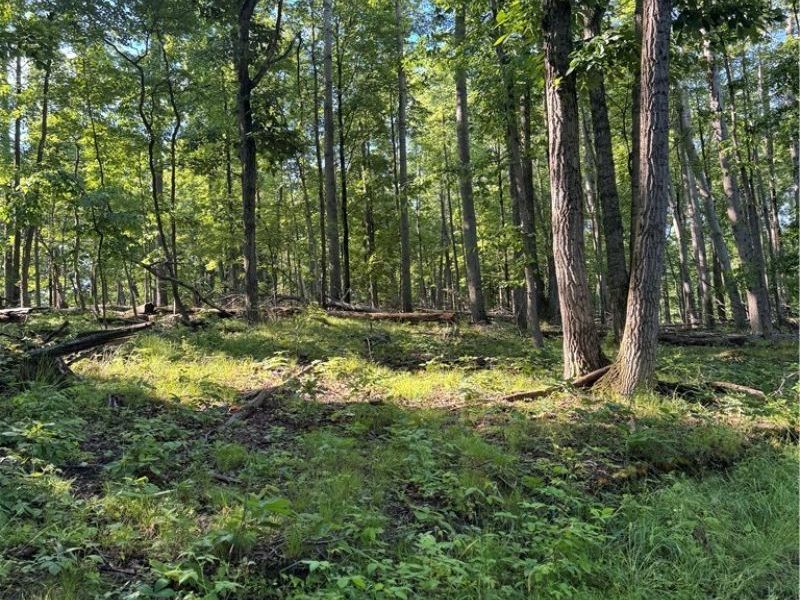 Stone Quarry Road, Danville, OH 43014 Photo 14