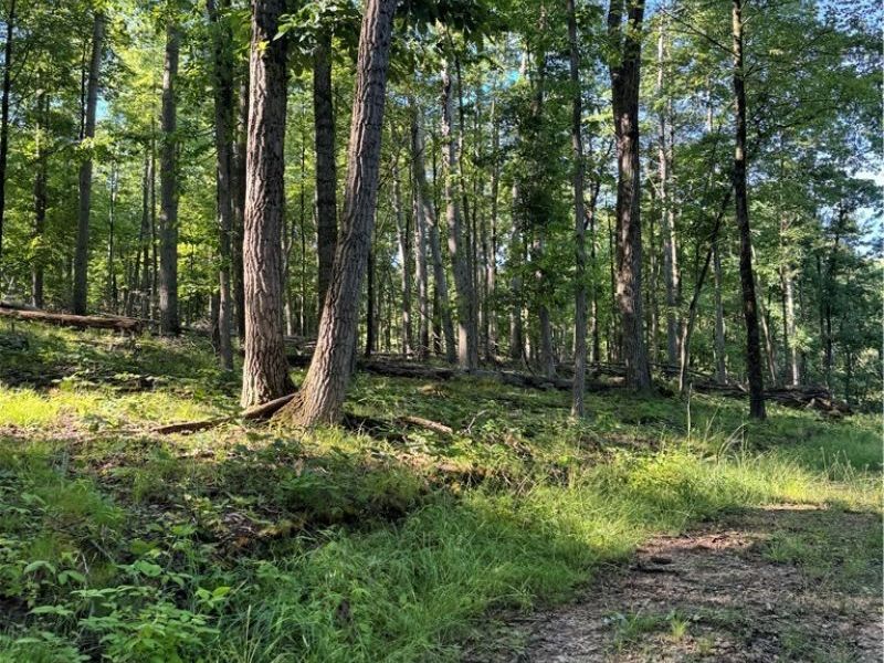 Stone Quarry Road, Danville, OH 43014 Photo 15