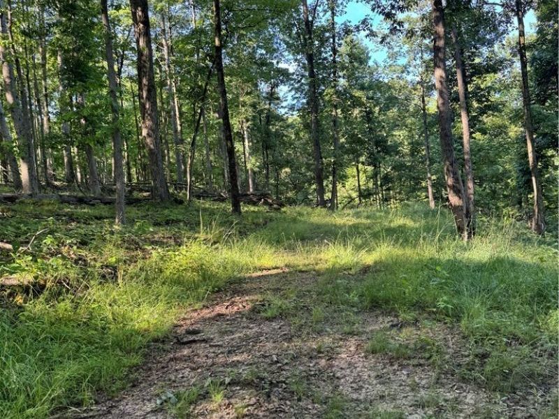 Stone Quarry Road, Danville, OH 43014 Photo 16