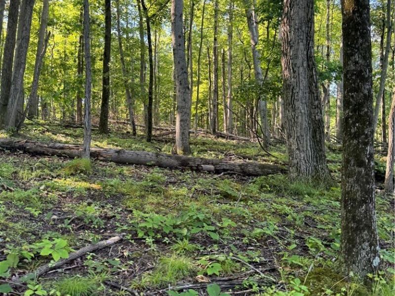 Stone Quarry Road, Danville, OH 43014 Photo 17