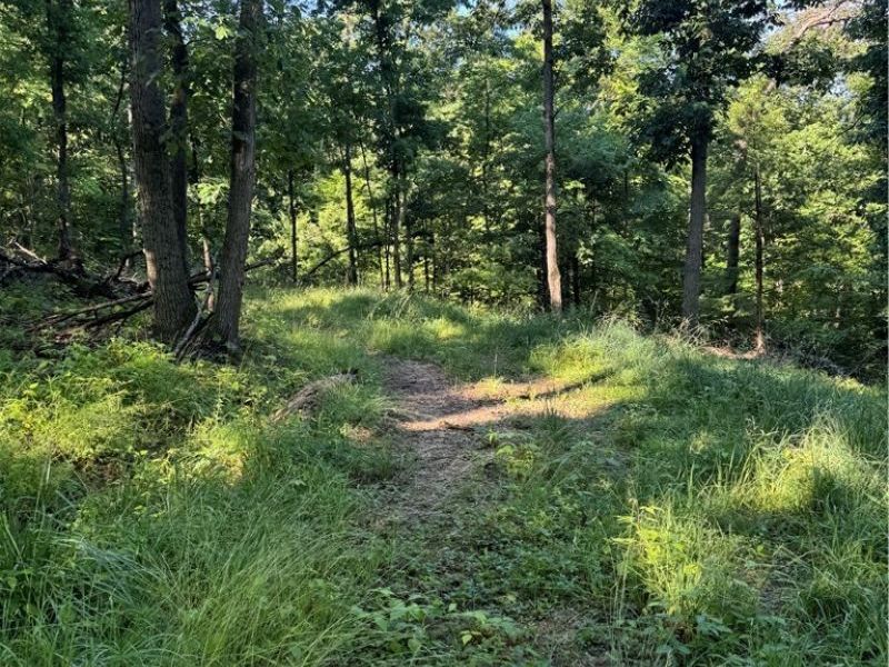 Stone Quarry Road, Danville, OH 43014 Photo 20