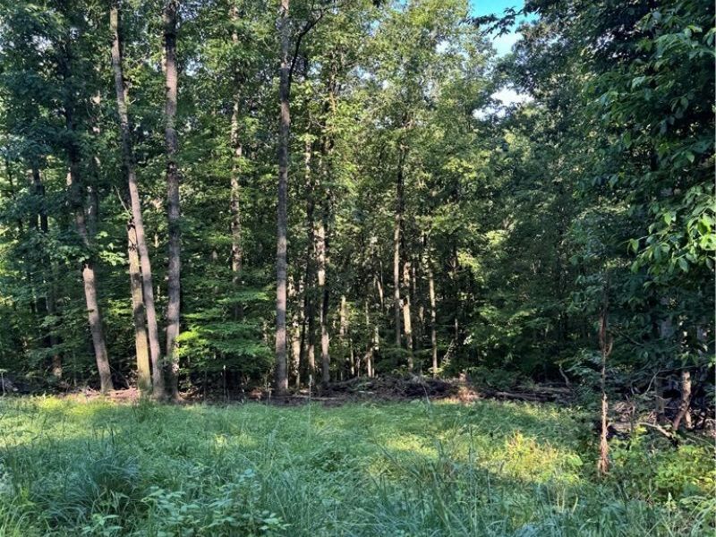 Stone Quarry Road, Danville, OH 43014 Photo 21
