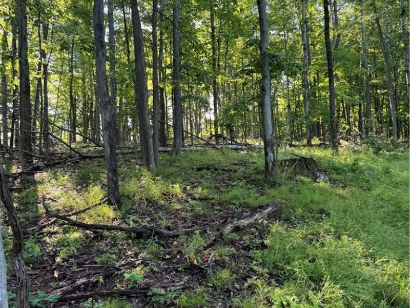 Stone Quarry Road, Danville, OH 43014 Photo 22