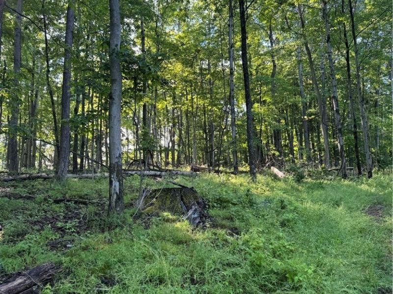 Stone Quarry Road, Danville, OH 43014 Photo 23