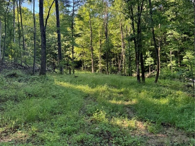 Stone Quarry Road, Danville, OH 43014 Photo 24