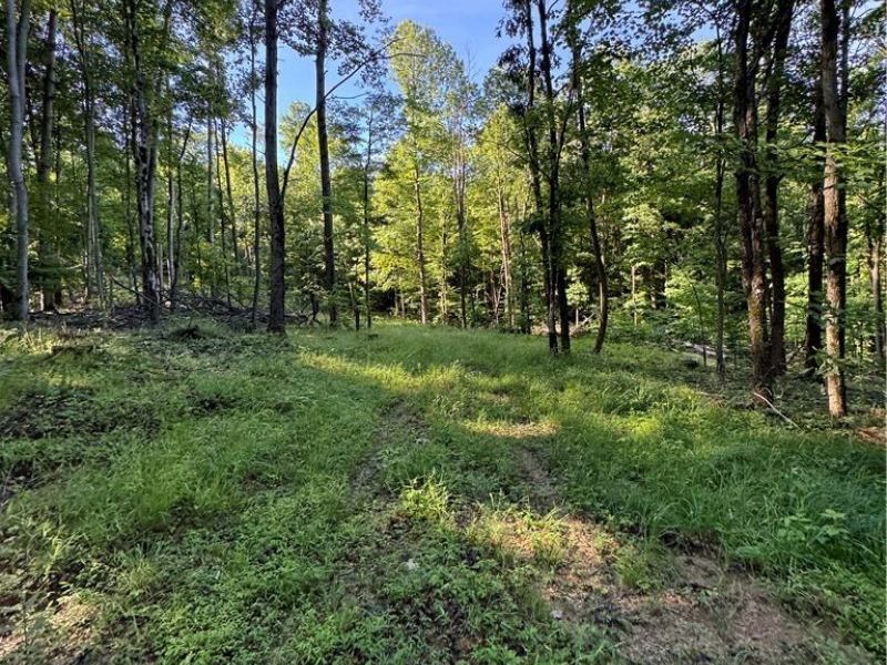 Stone Quarry Road, Danville, OH 43014 Photo 25
