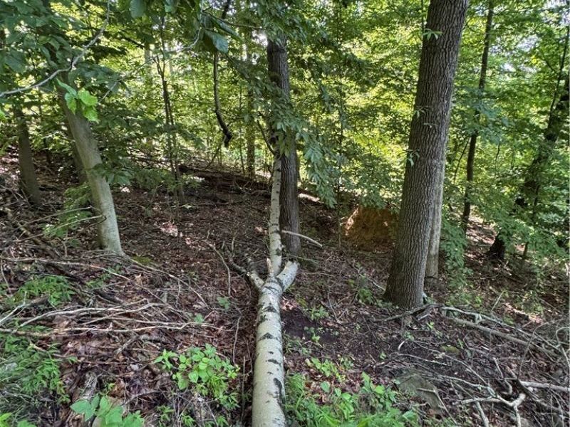 Stone Quarry Road, Danville, OH 43014 Photo 27