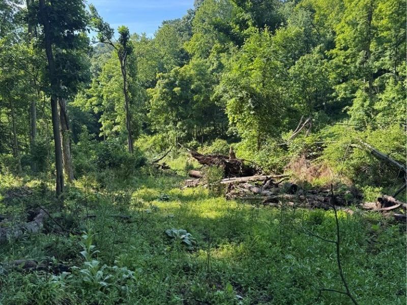 Stone Quarry Road, Danville, OH 43014 Photo 28