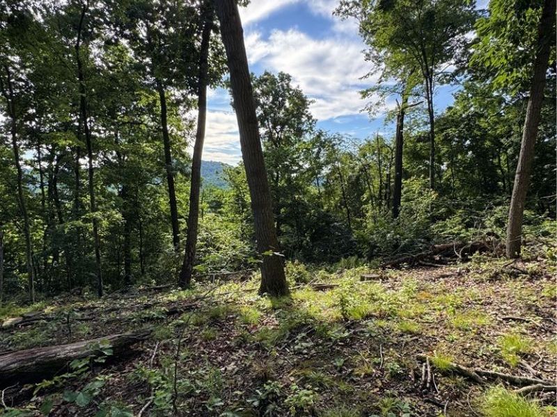 Stone Quarry Road, Danville, OH 43014 Photo 3