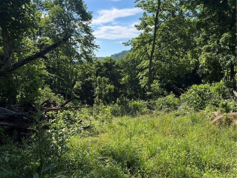 Stone Quarry Road, Danville, OH 43014 Photo 30