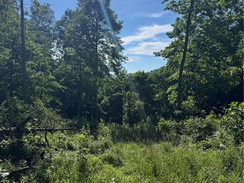 Stone Quarry Road, Danville, OH 43014 Photo 31