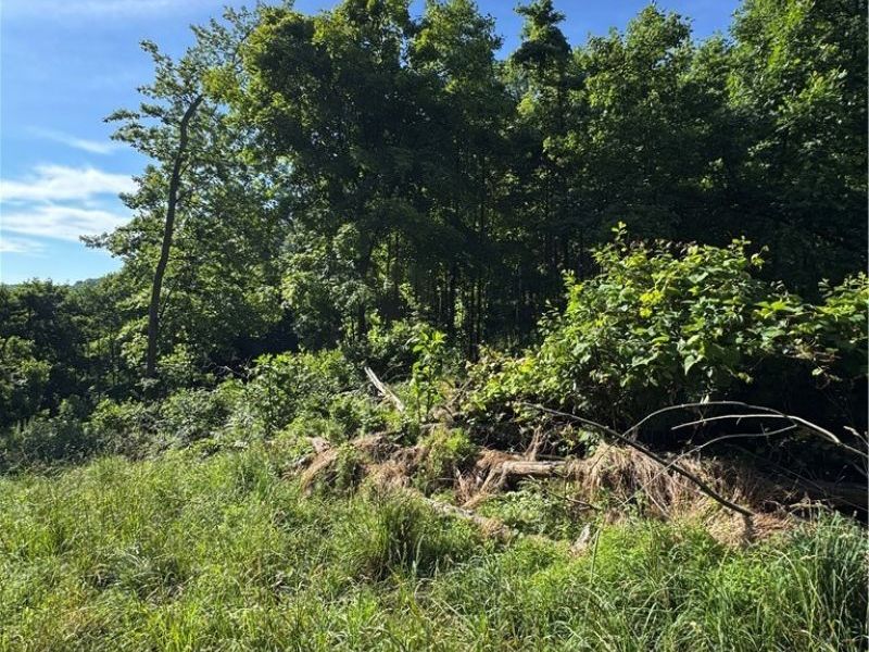 Stone Quarry Road, Danville, OH 43014 Photo 32