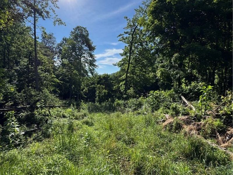 Stone Quarry Road, Danville, OH 43014 Photo 33