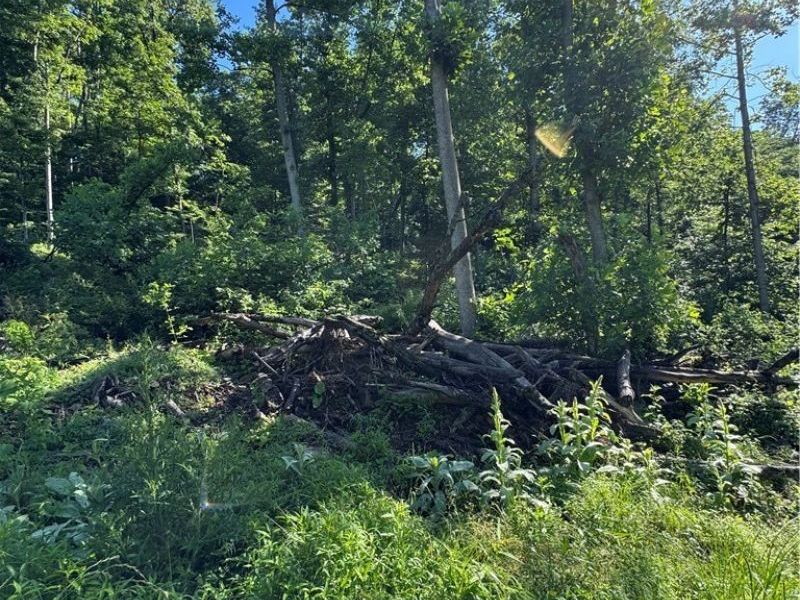 Stone Quarry Road, Danville, OH 43014 Photo 34