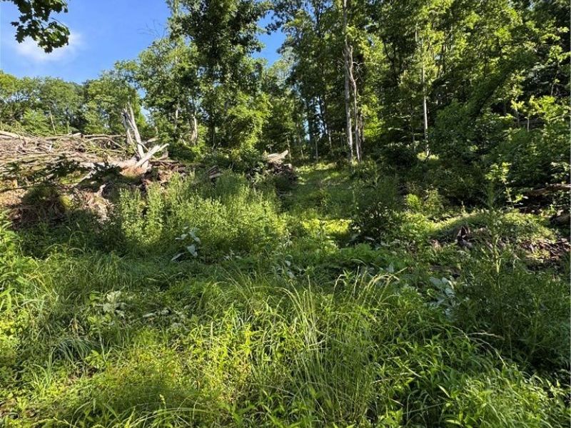 Stone Quarry Road, Danville, OH 43014 Photo 35