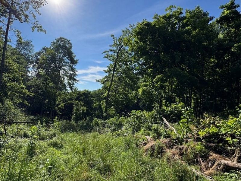 Stone Quarry Road, Danville, OH 43014 Photo 37