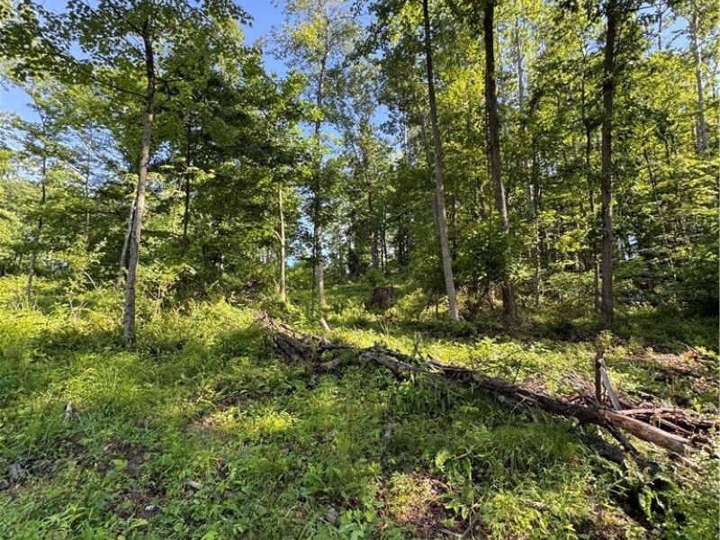 Stone Quarry Road, Danville, OH 43014 Photo 39