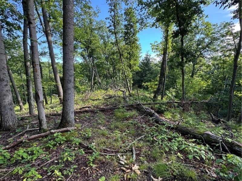 Stone Quarry Road, Danville, OH 43014 Photo 4