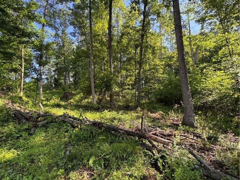 Stone Quarry Road, Danville, OH 43014 Photo 40