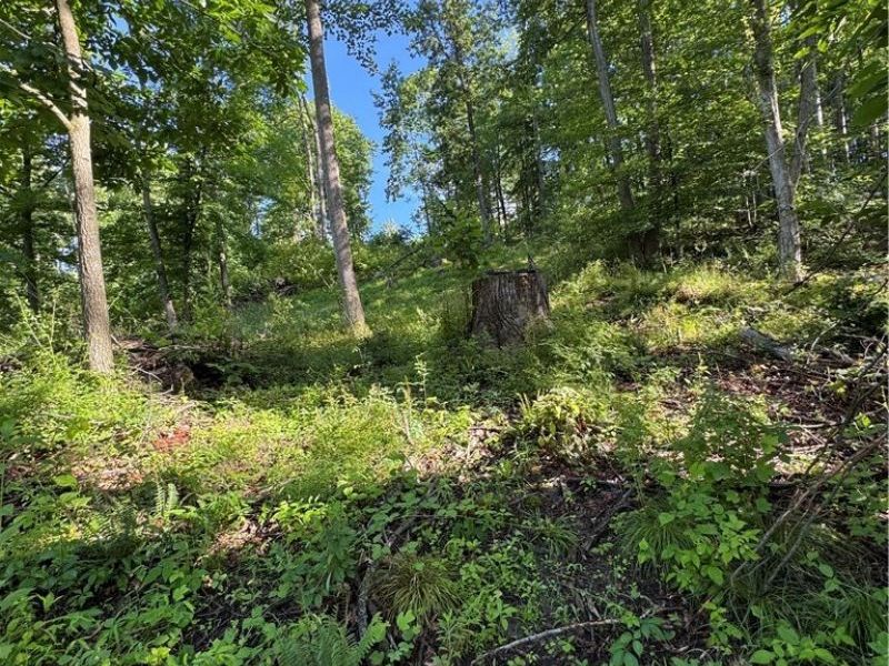 Stone Quarry Road, Danville, OH 43014 Photo 41