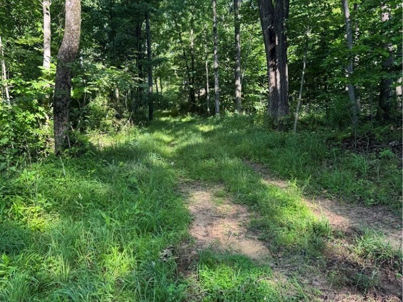 Stone Quarry Road, Danville, OH 43014 Photo 42