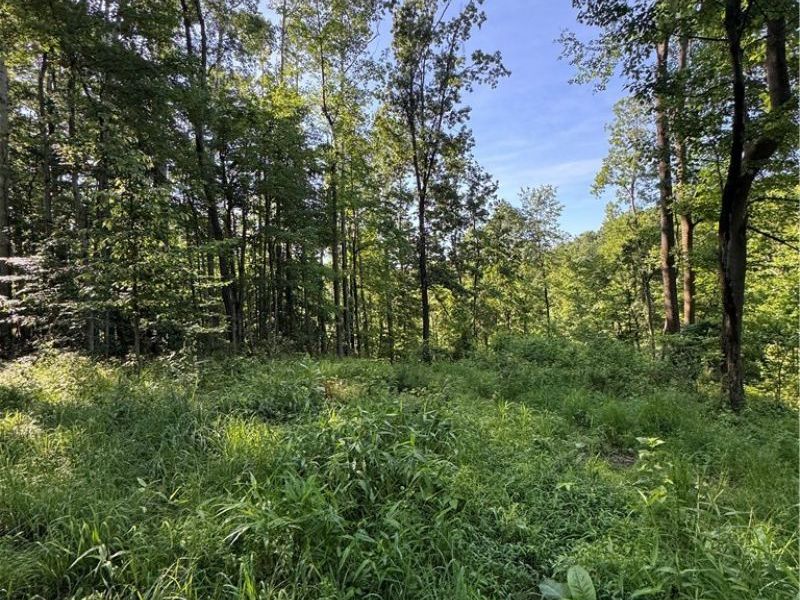 Stone Quarry Road, Danville, OH 43014 Photo 43