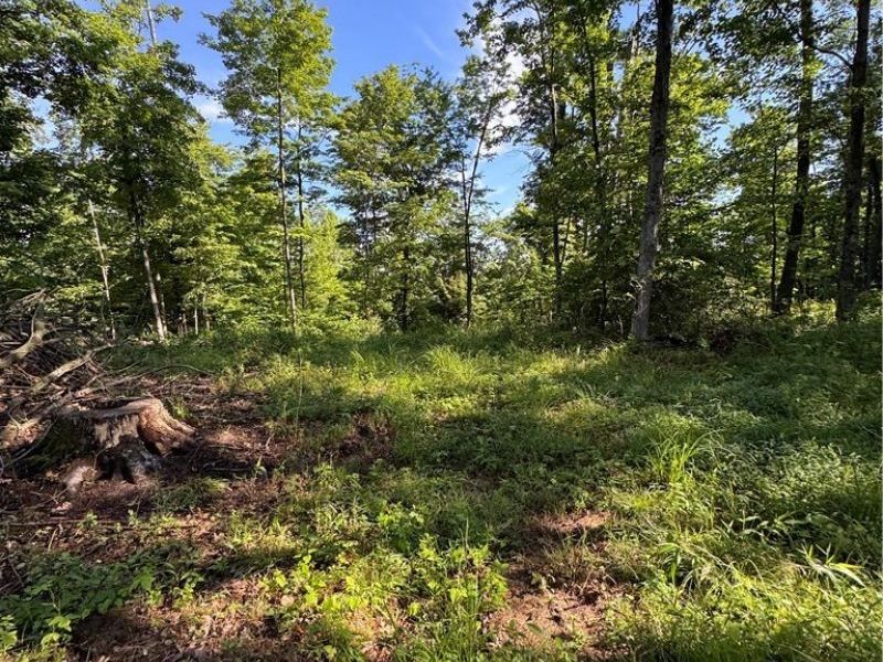 Stone Quarry Road, Danville, OH 43014 Photo 44