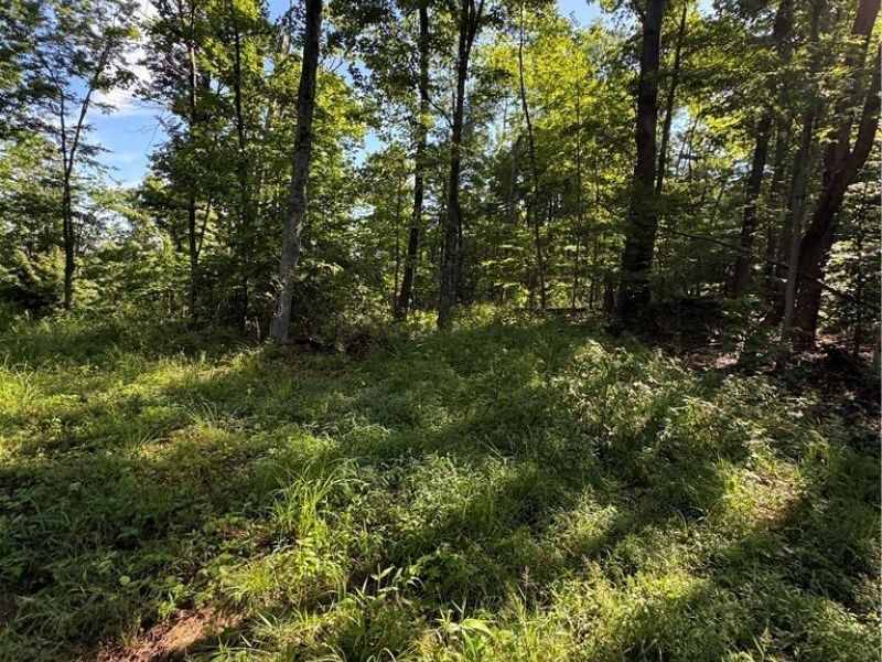 Stone Quarry Road, Danville, OH 43014 Photo 45