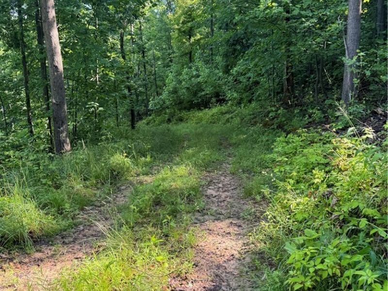 Stone Quarry Road, Danville, OH 43014 Photo 47