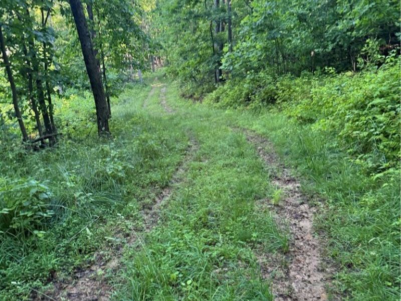 Stone Quarry Road, Danville, OH 43014 Photo 48
