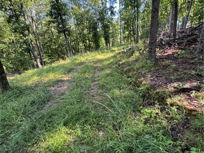 Stone Quarry Road, Danville, OH 43014 Photo 49